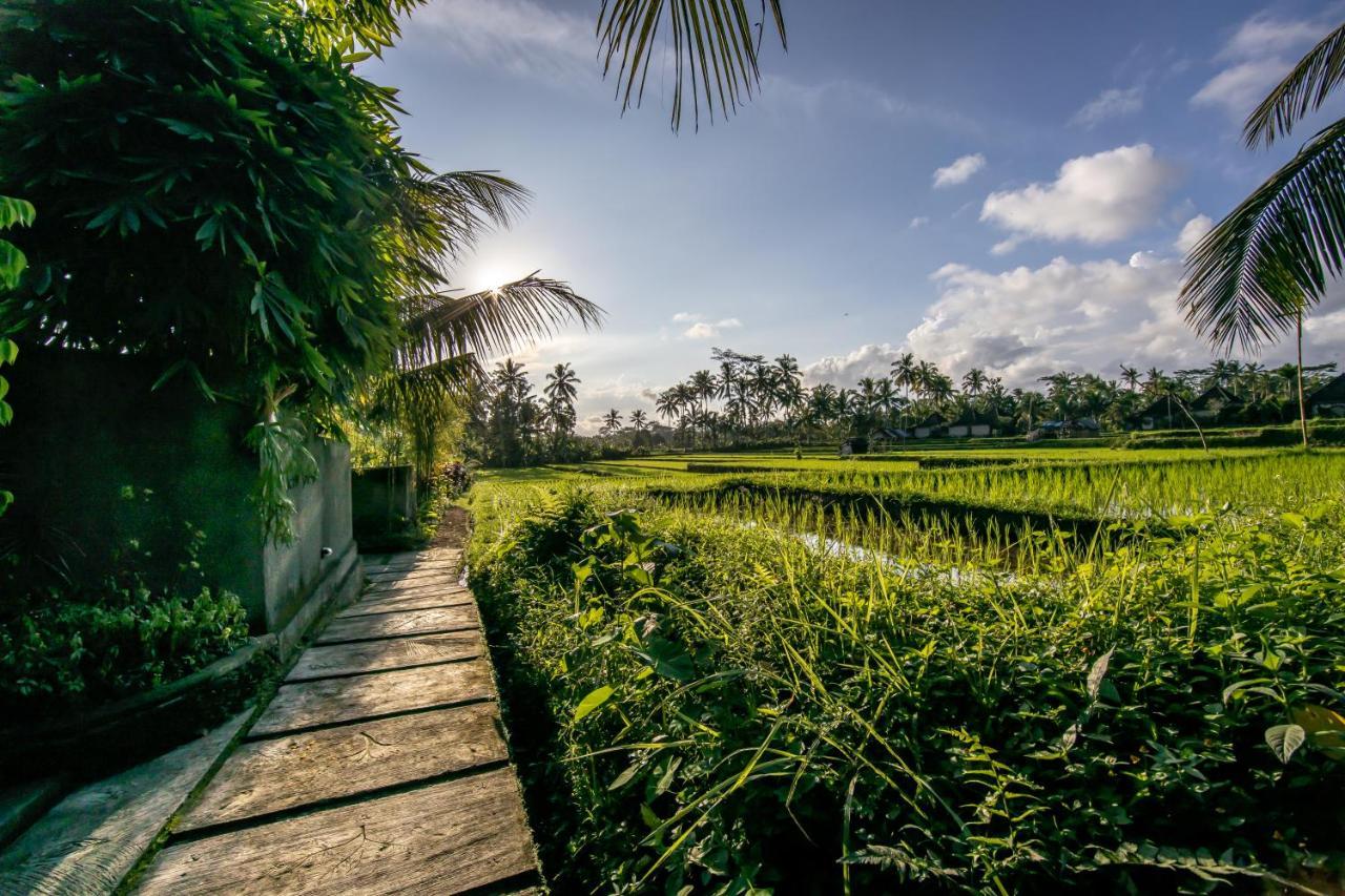 Villa Natha Ubud Eksteriør bilde